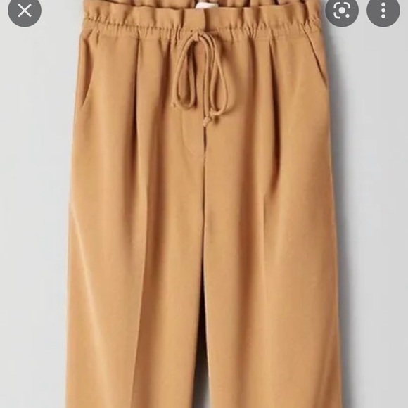 Wilfred (aritzia) Kari Pants (XS) - Picture 6 of 6